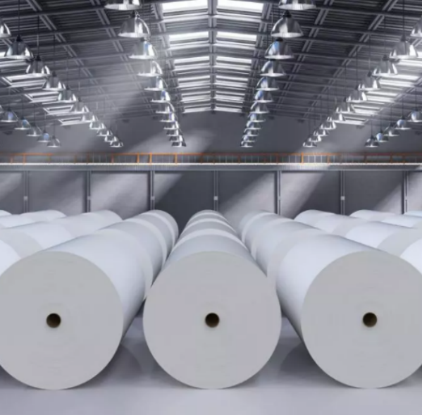 Papermaking_industry_from_January_to_November_2024.png